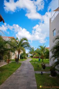 6CF31FBD-22FE-4B5C-BB37-18DAAE6278AC