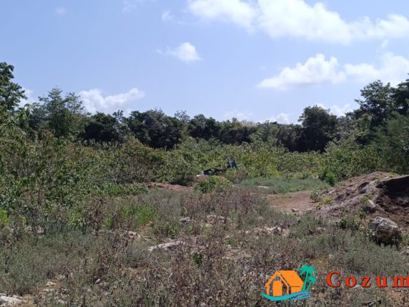 Ranch Land Cozumel Living