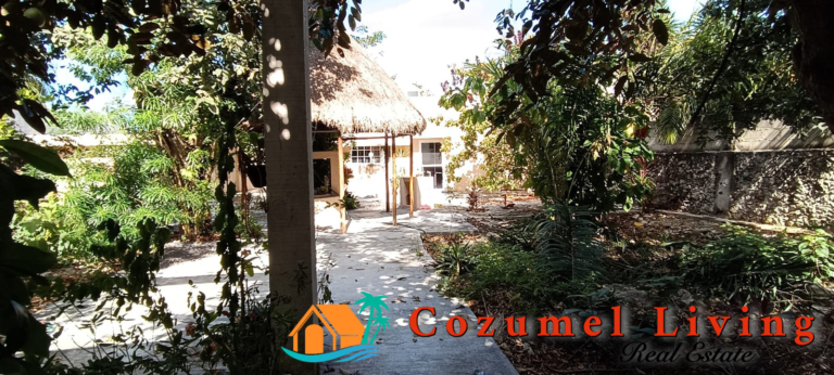 home for sale in cozumel casa armonia