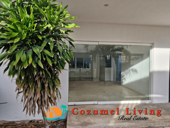 casas de alquiler en cozumel