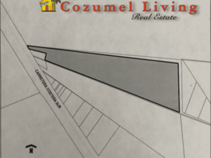 ScreenShot2021-10-02at1.19.20PM-584x438